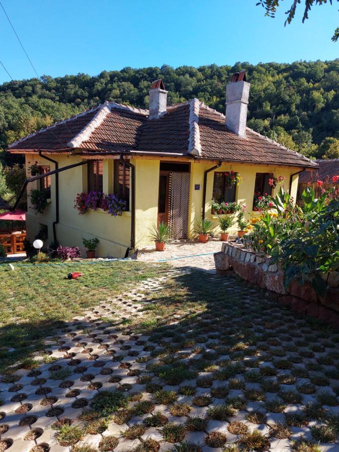 Guest House „Ivanovata House” Yanovets Zewnętrze zdjęcie