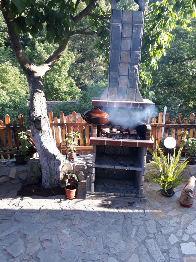 Guest House „Ivanovata House” Yanovets Zewnętrze zdjęcie